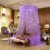 LifeWheel Romantische Prinzessin Runden Spitzen Betthimmel Moskitonetzen Kuppel Bett Netting Baldachin Vorhang Moskitonetz (Violett)